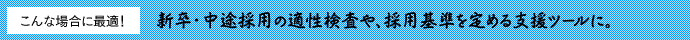 新卒・中途採用の適性検査や、採用基準を定める支援ツールに。