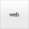 icon_web